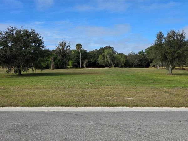 15311 FISHHAWK HEIGHTS RUN, LITHIA, FL 33547