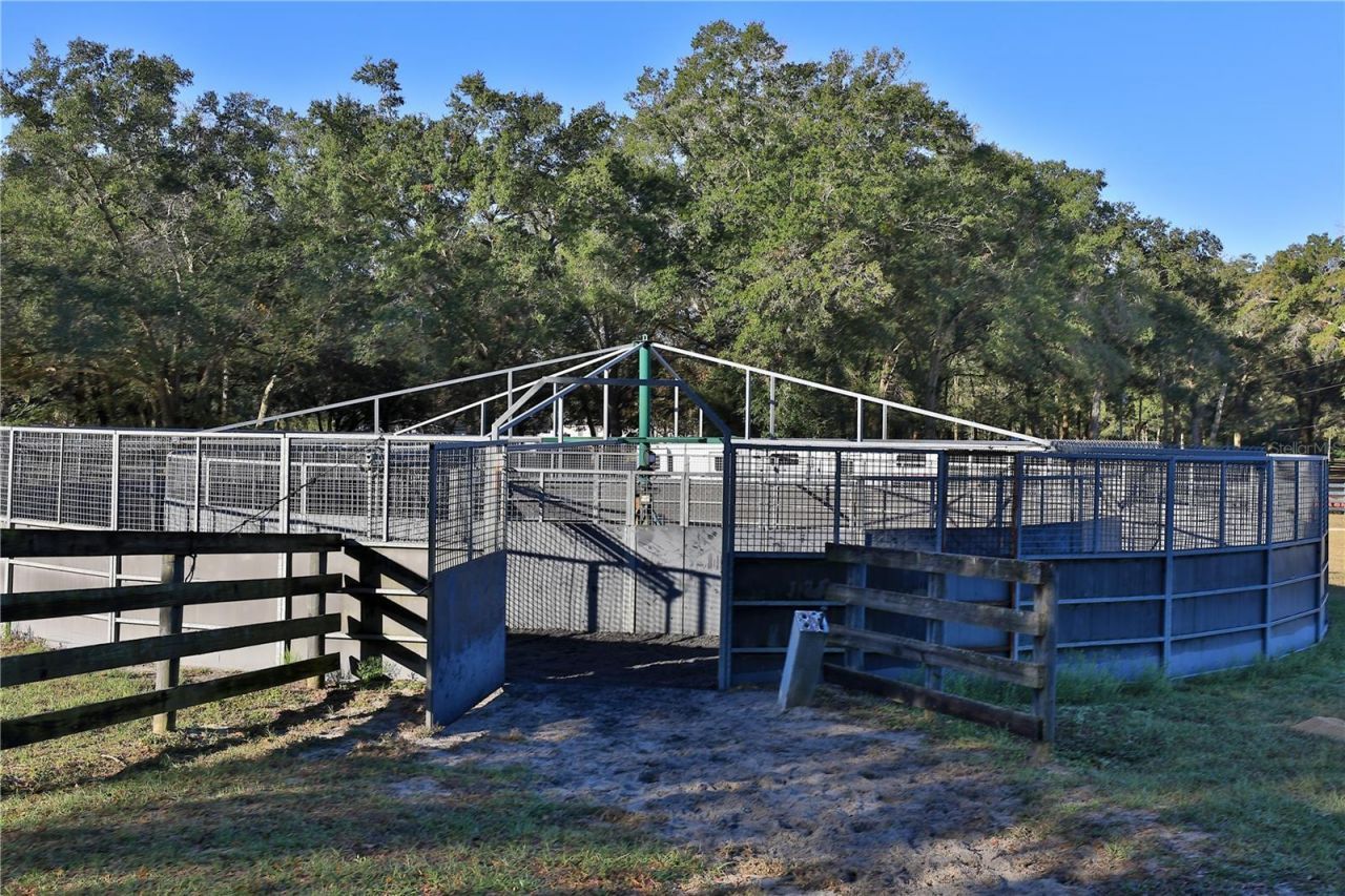 7505 SW 73rd Street, Ocala, FL 34476 Photo