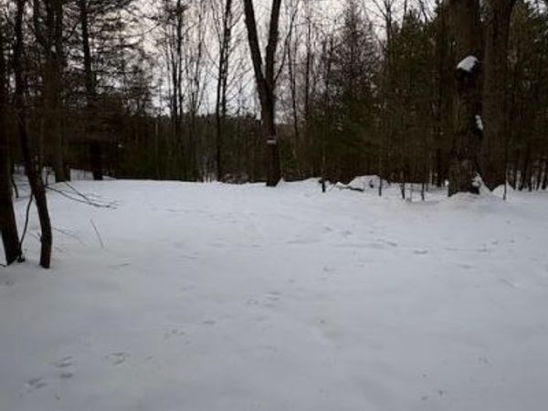 VL Bayou Road, Montague, MI 49437