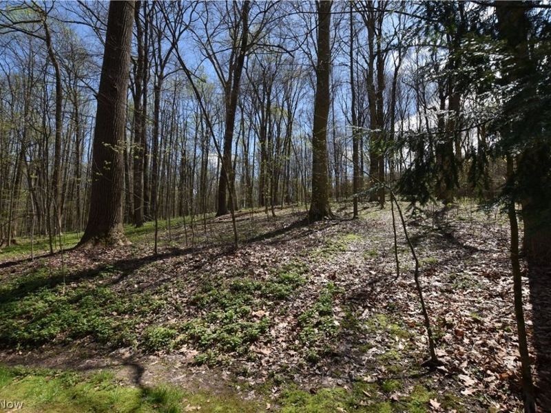 9316 Lakewood Drive NE, Mineral City, OH 44656 Photo 29