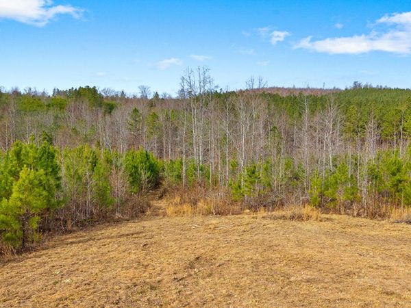 000 Redman Lane, Decatur, TN 37322