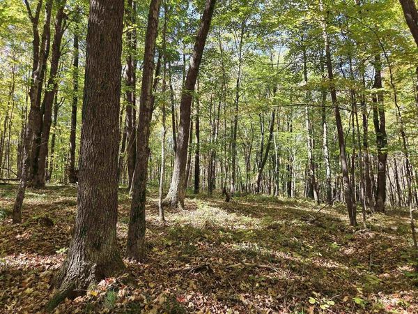 LIBERTY LANE, Kennan, WI 54537