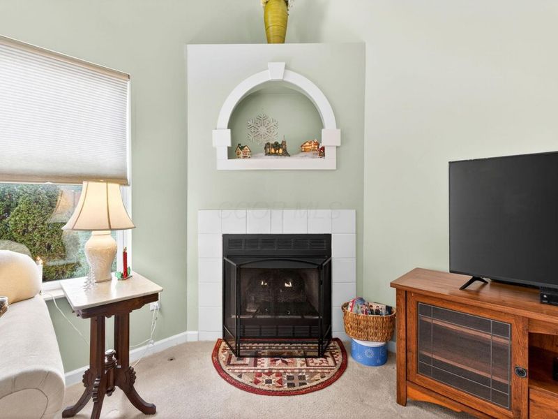 299 Links Drive, Marysville, OH 43040 Photo 17