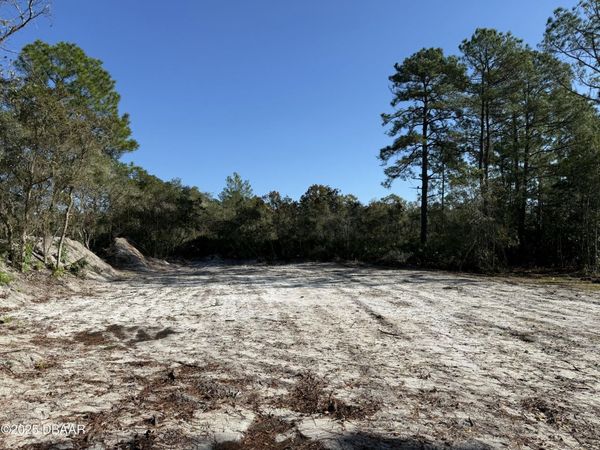 0 Viola Avenue, Eustis, FL 32736