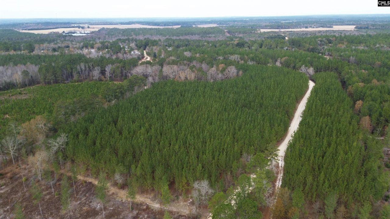 Kestrel Drive Photo 12