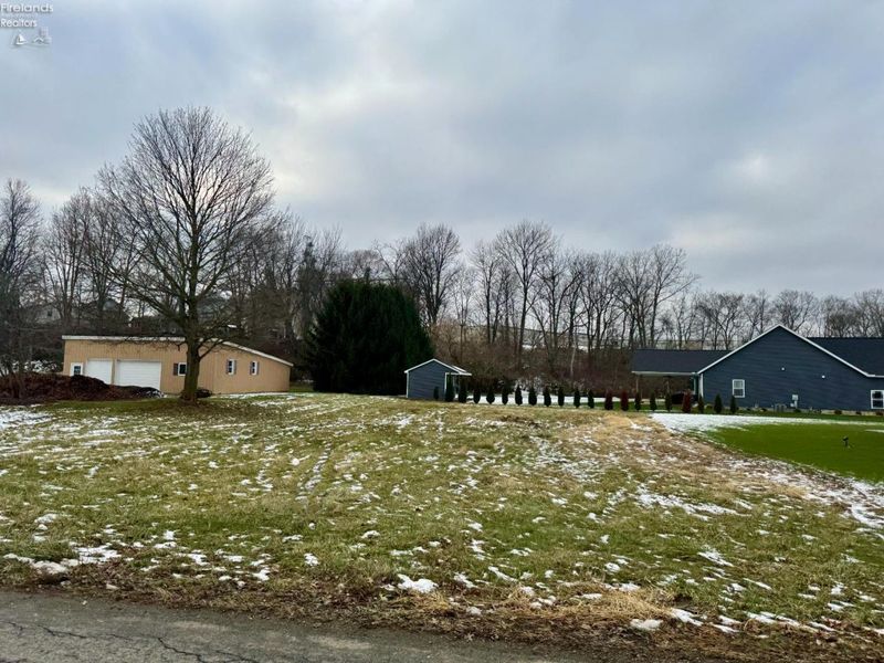 101 North Street, Monroeville, OH 44847 Photo 2