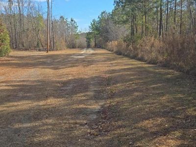 00 Primus Drive, Saint George, SC 29477