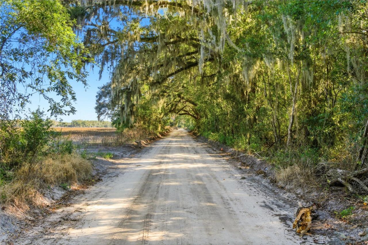 4506 NW 10th Street, Bell, FL 32619 Photo