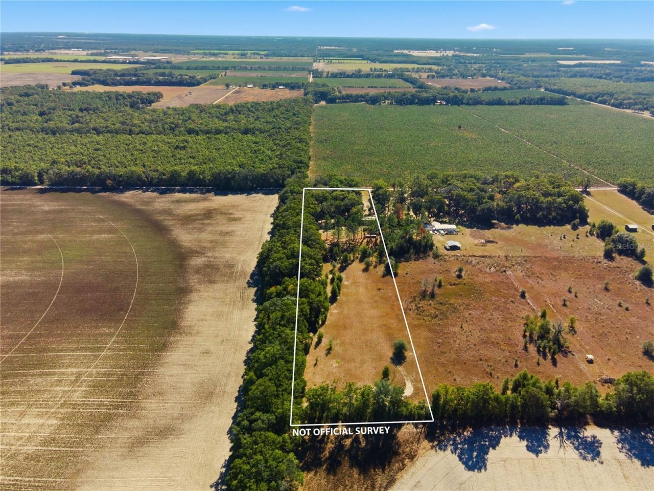 4506 NW 10th Street, Bell, FL 32619 Photo