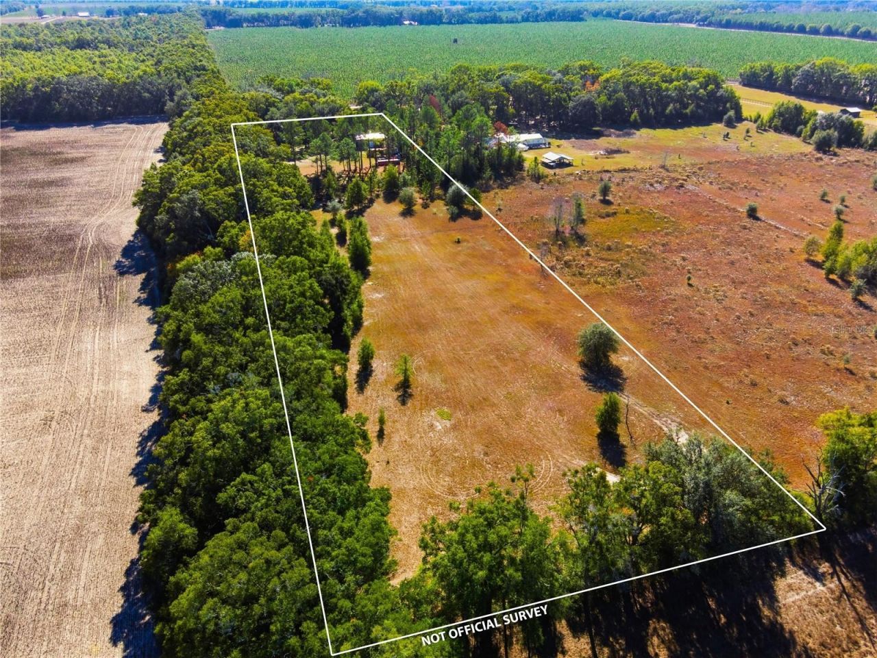 4506 NW 10th Street, Bell, FL 32619 Photo