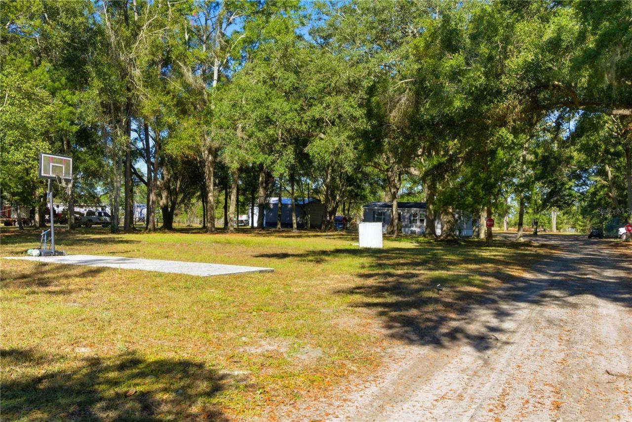 4506 NW 10th Street, Bell, FL 32619 Photo