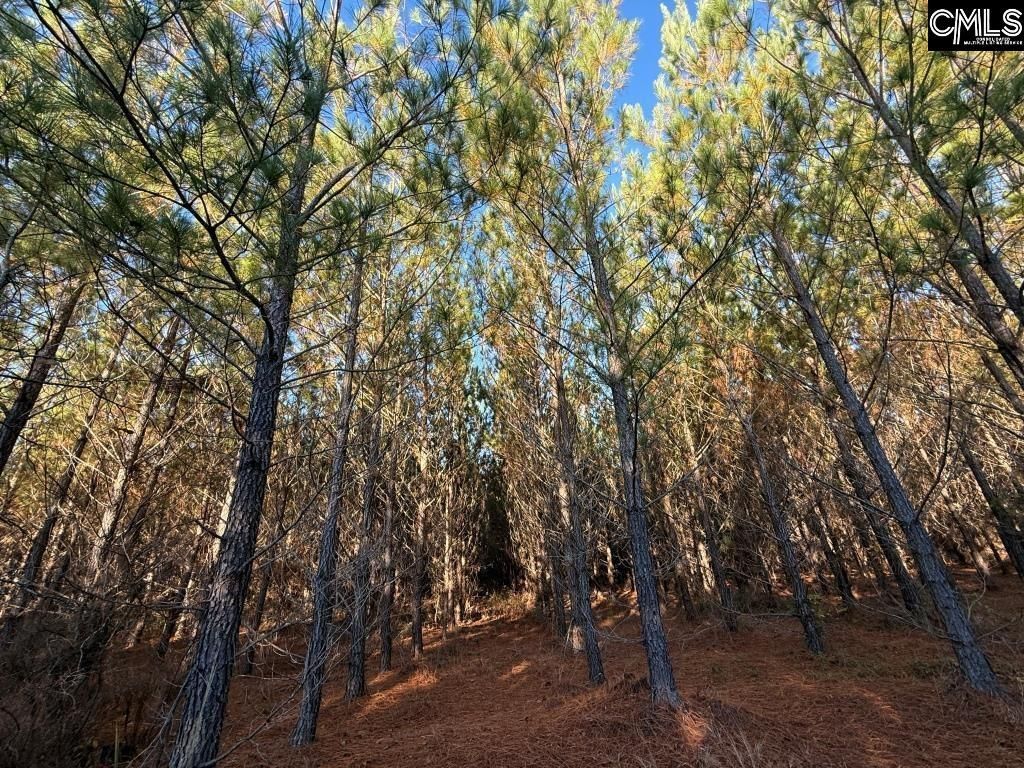 Kestrel Drive Photo 13