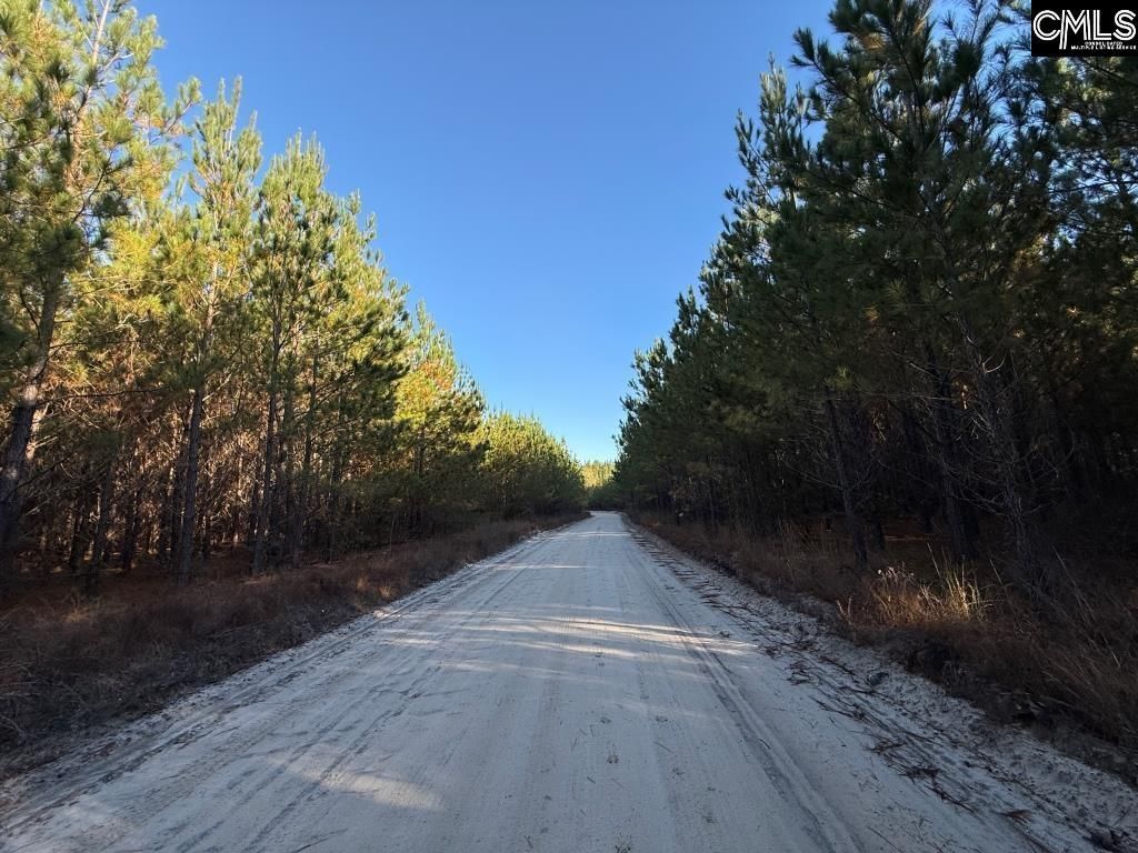 Kestrel Drive Photo 14