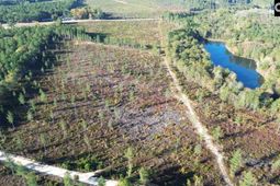 Kestrel Drive photo 4