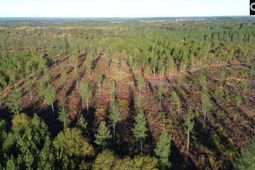 Kestrel Drive photo 4