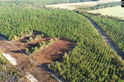 Kestrel Drive photo 4