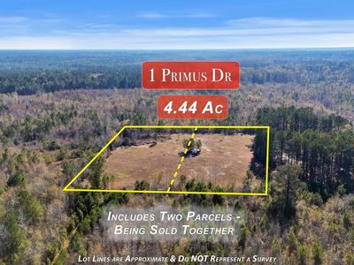 1 Primus Drive, Saint George, SC 29477