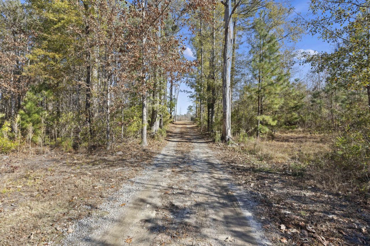 1 Primus Drive Photo 19