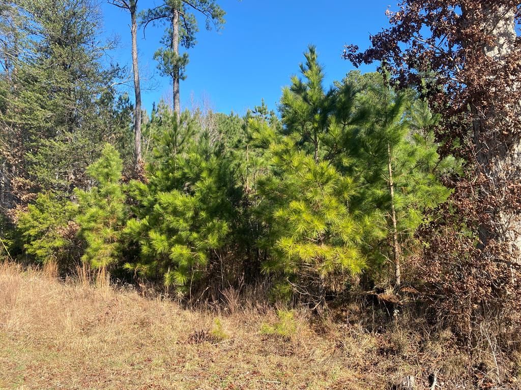 66&67 Conley Pond Road, Farnham, VA 22460 Main Photo