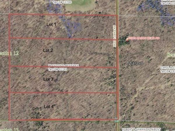 Lot 1 Mason Delta Rd, Delta, WI 54856