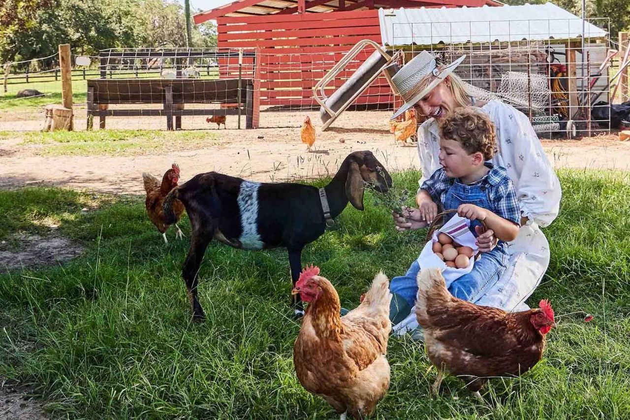 2590 Helmsman Road Photo 64