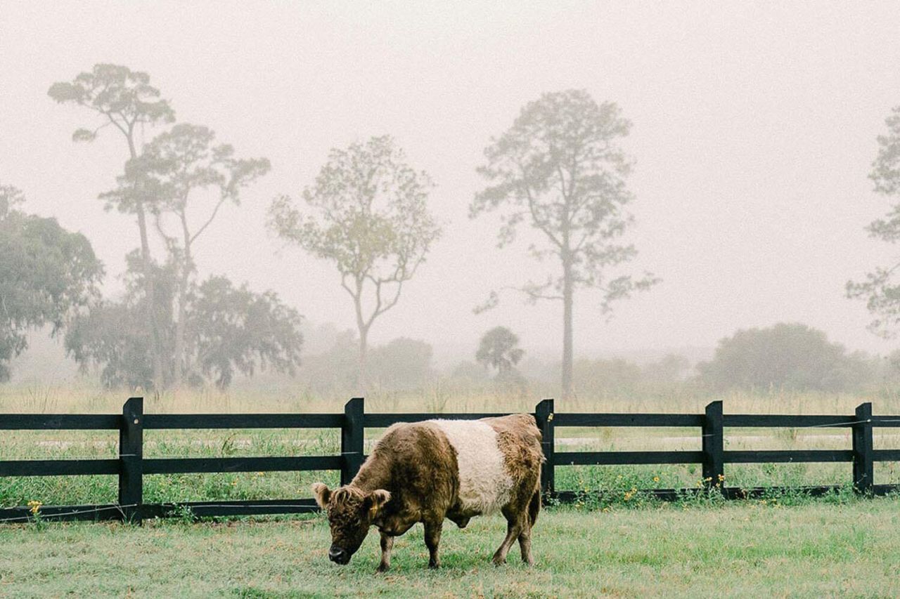 2590 Helmsman Road Photo 65