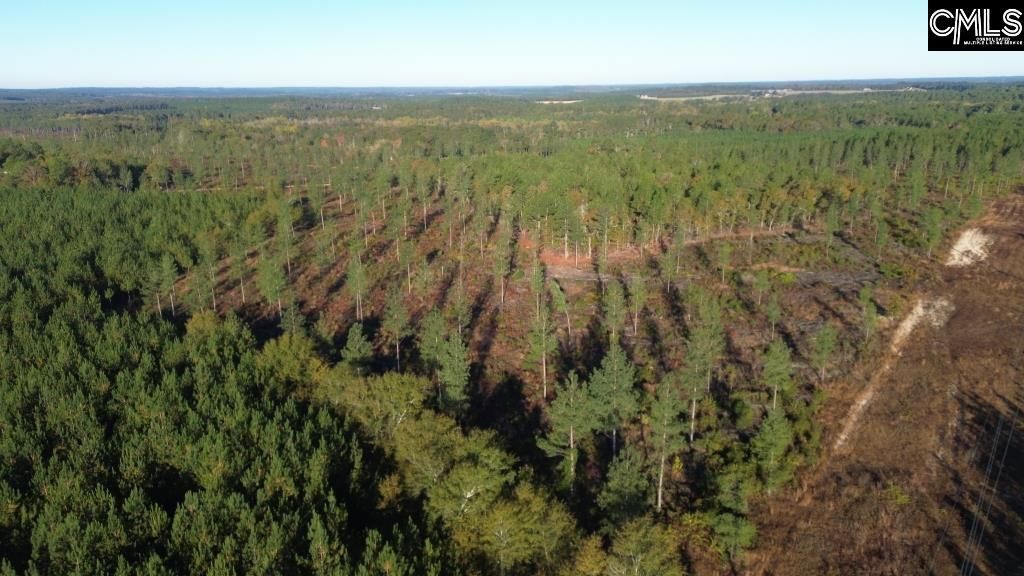 Kestrel Drive Photo 8