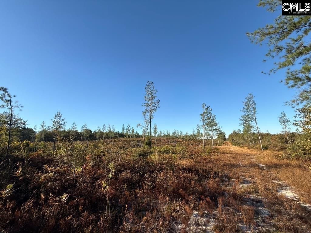 Kestrel Drive Photo 5