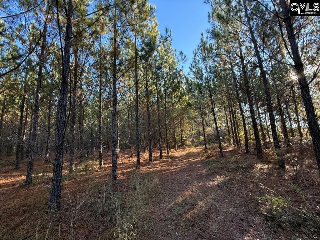 Kestrel Drive Photo 6