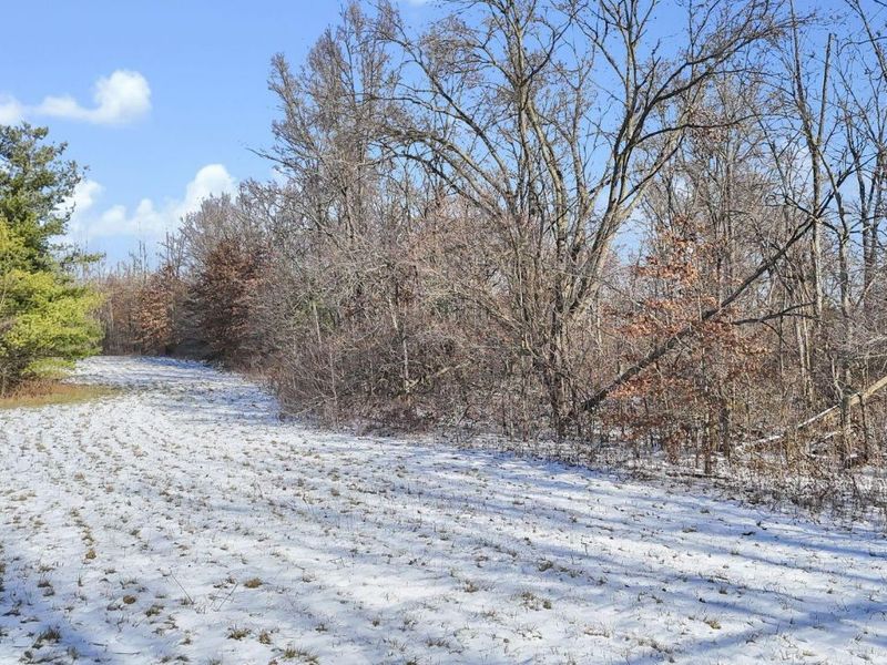 0 London Groveport Road, Orient, OH 43146 Photo 1