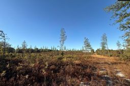 Kestrel Drive photo 4