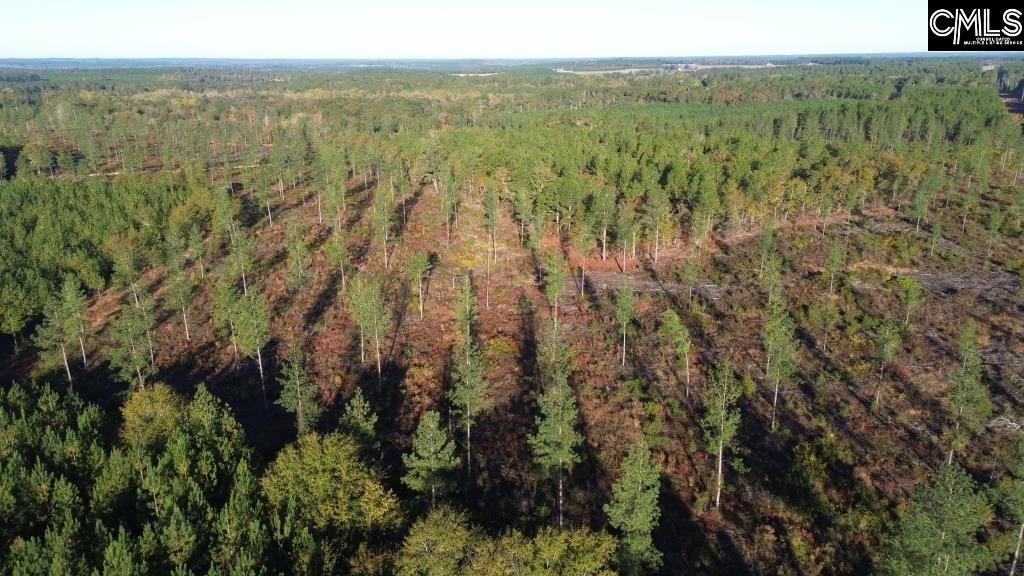 Kestrel Drive Photo 8