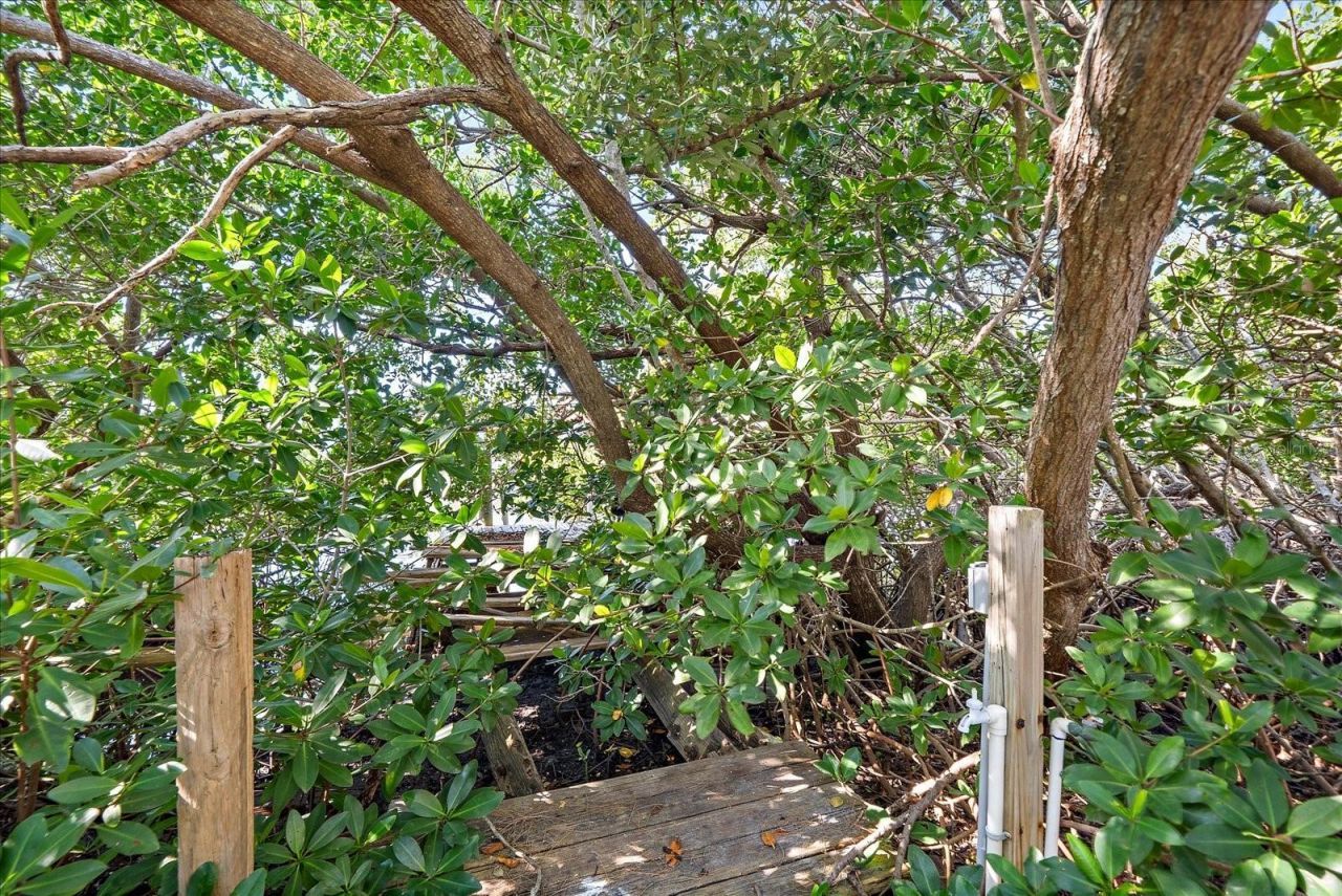 6841 Longboat Drive S, Longboat Key, FL 34228 Photo