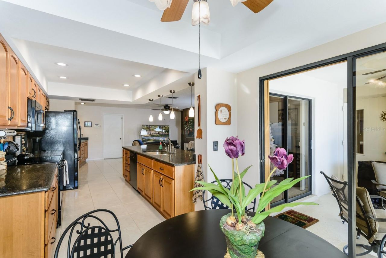 3193 Sandy Ridge Drive, Clearwater, FL 33761 Photo