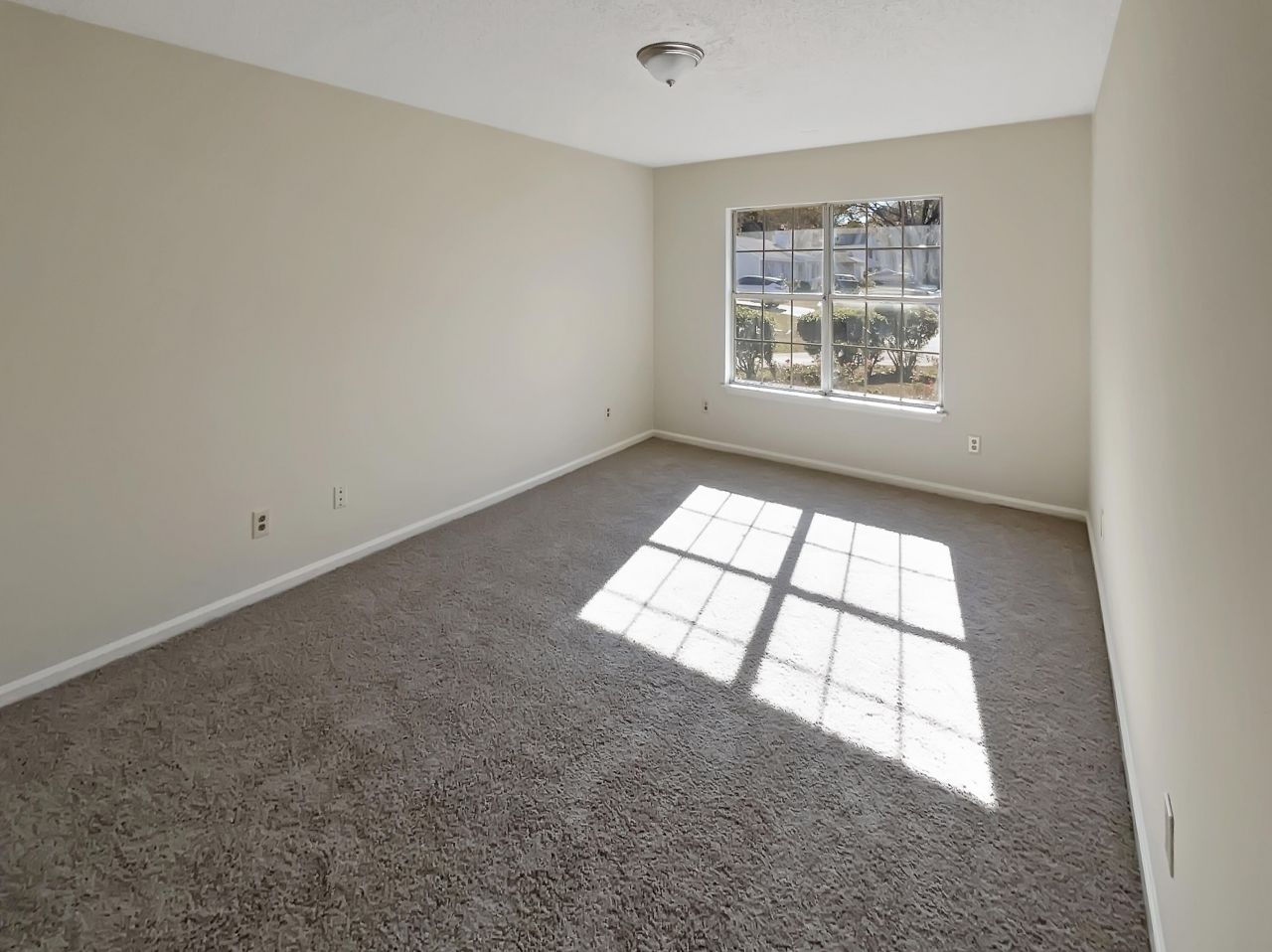 142 Blue Ridge Trail Photo 19