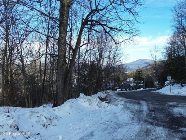 0 Club Road, Windham, NY 12496