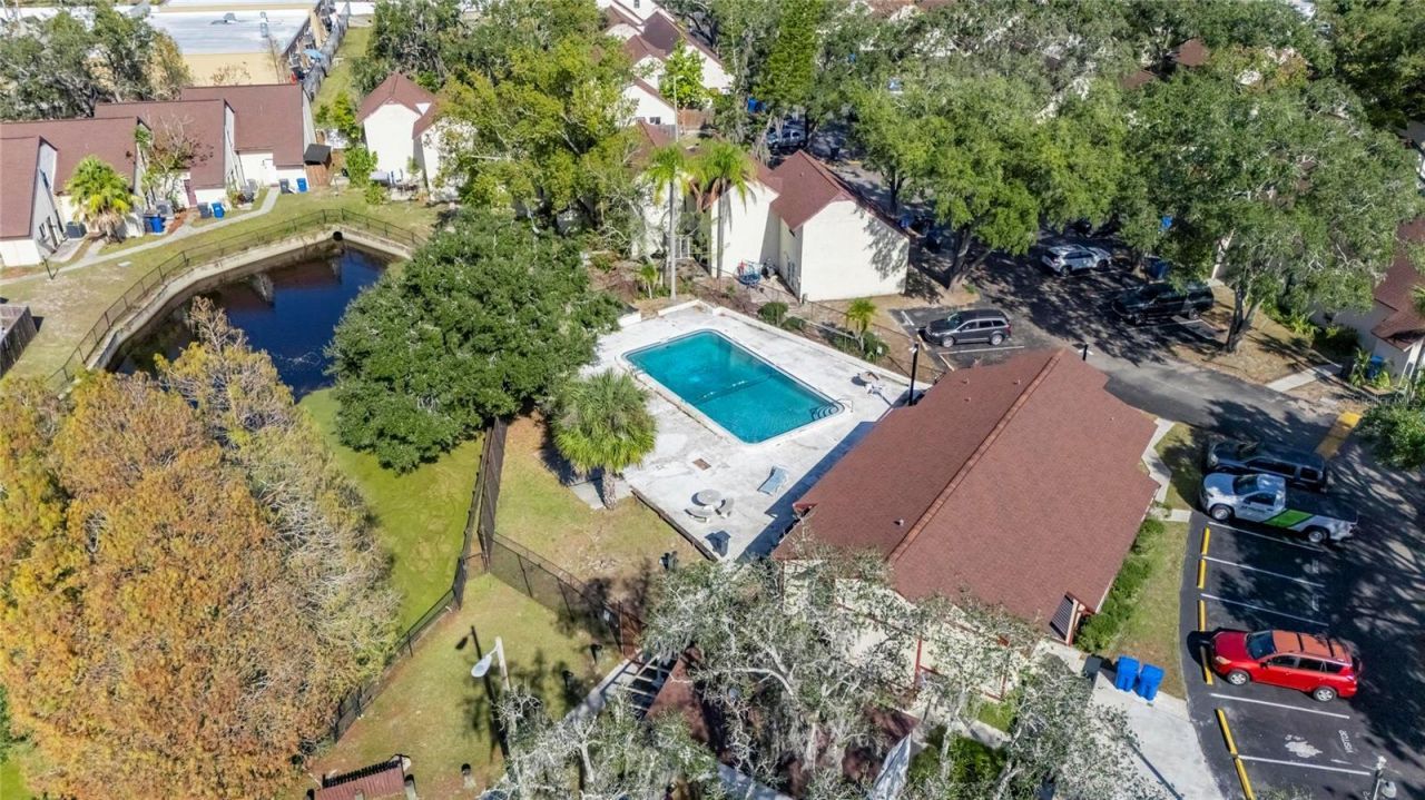 5601 Ashley Oaks Drive, Unit 6, Tampa, FL 33617 Photo