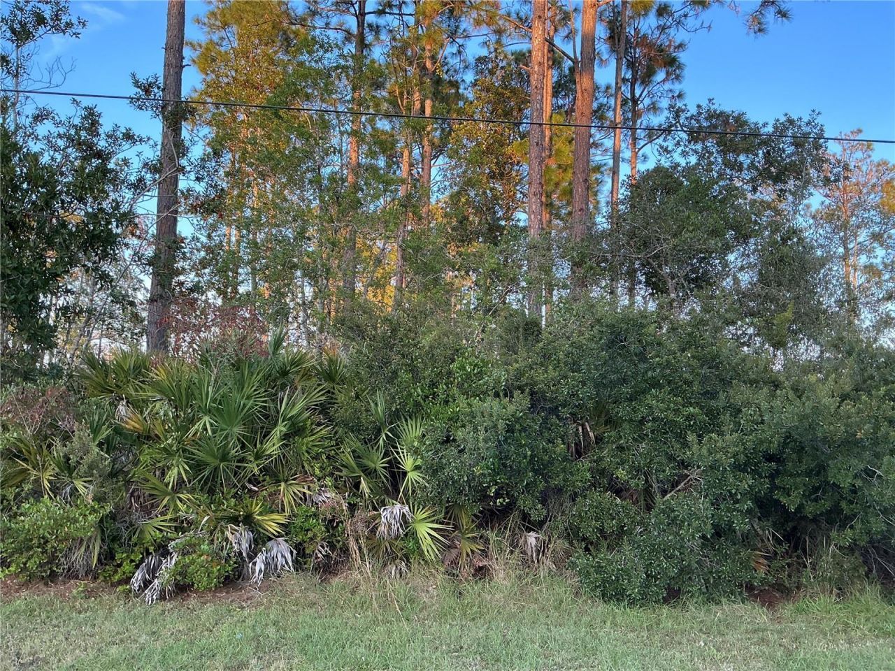 171 Ryberry Drive, Palm Coast, FL 32164 Main Photo