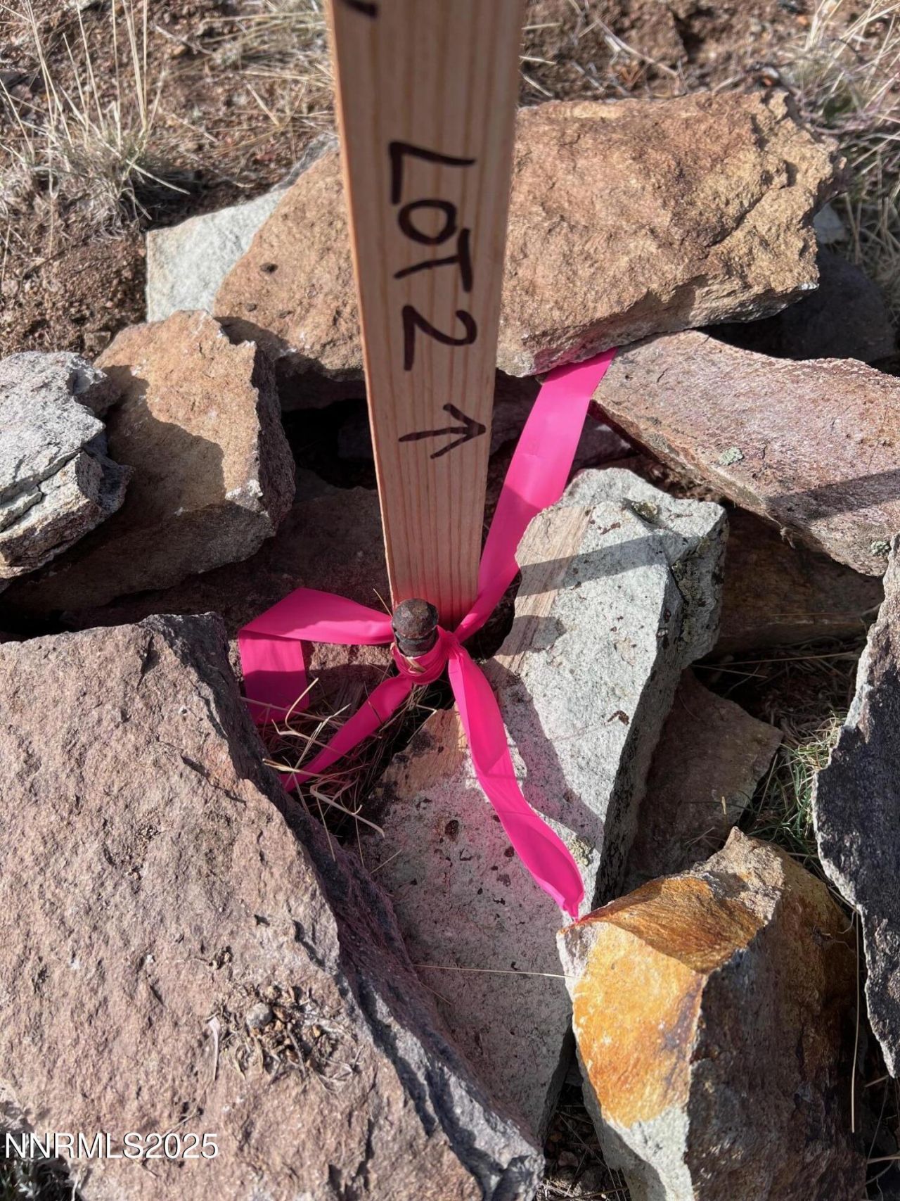 1505 Appian Way, Reno, NV 89510 Photo