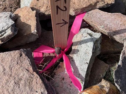 1505 Appian Way, Reno, NV 89510 Photo