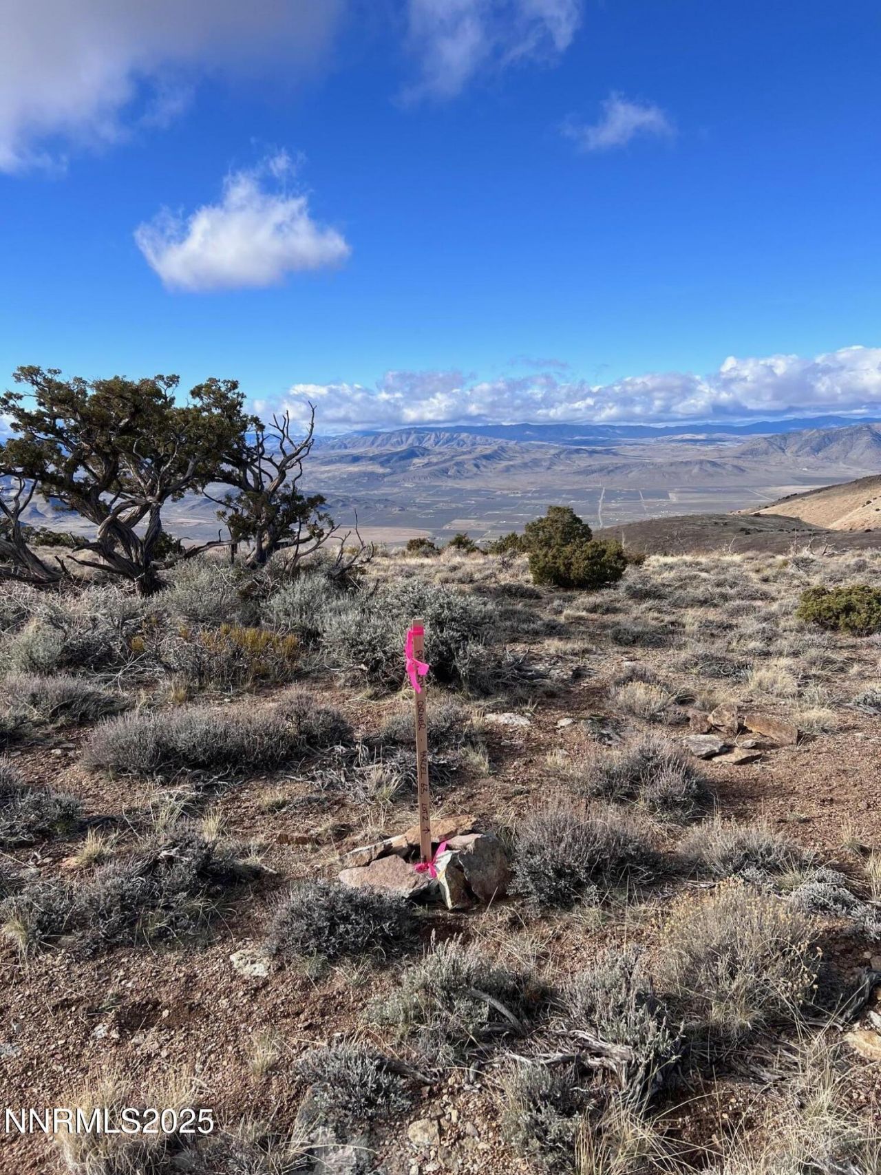 1505 Appian Way, Reno, NV 89510 Photo