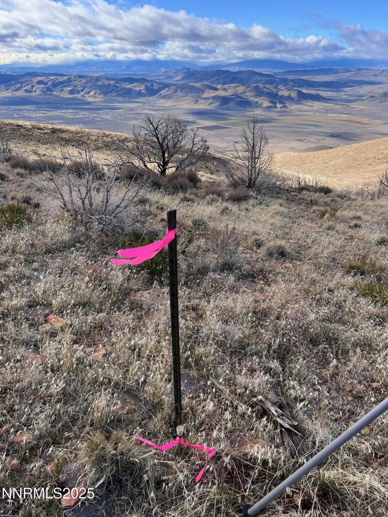 1505 Appian Way, Reno, NV 89510 Photo