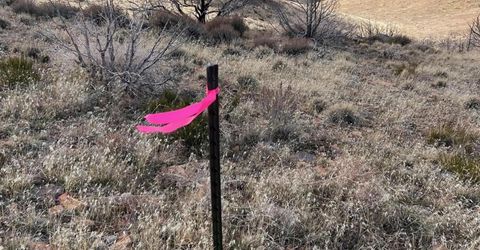 1505 Appian Way, Reno, NV 89510 Photo