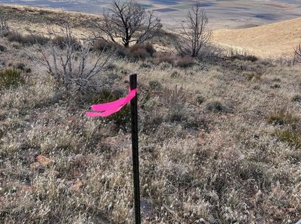 1505 Appian Way, Reno, NV 89510 Photo