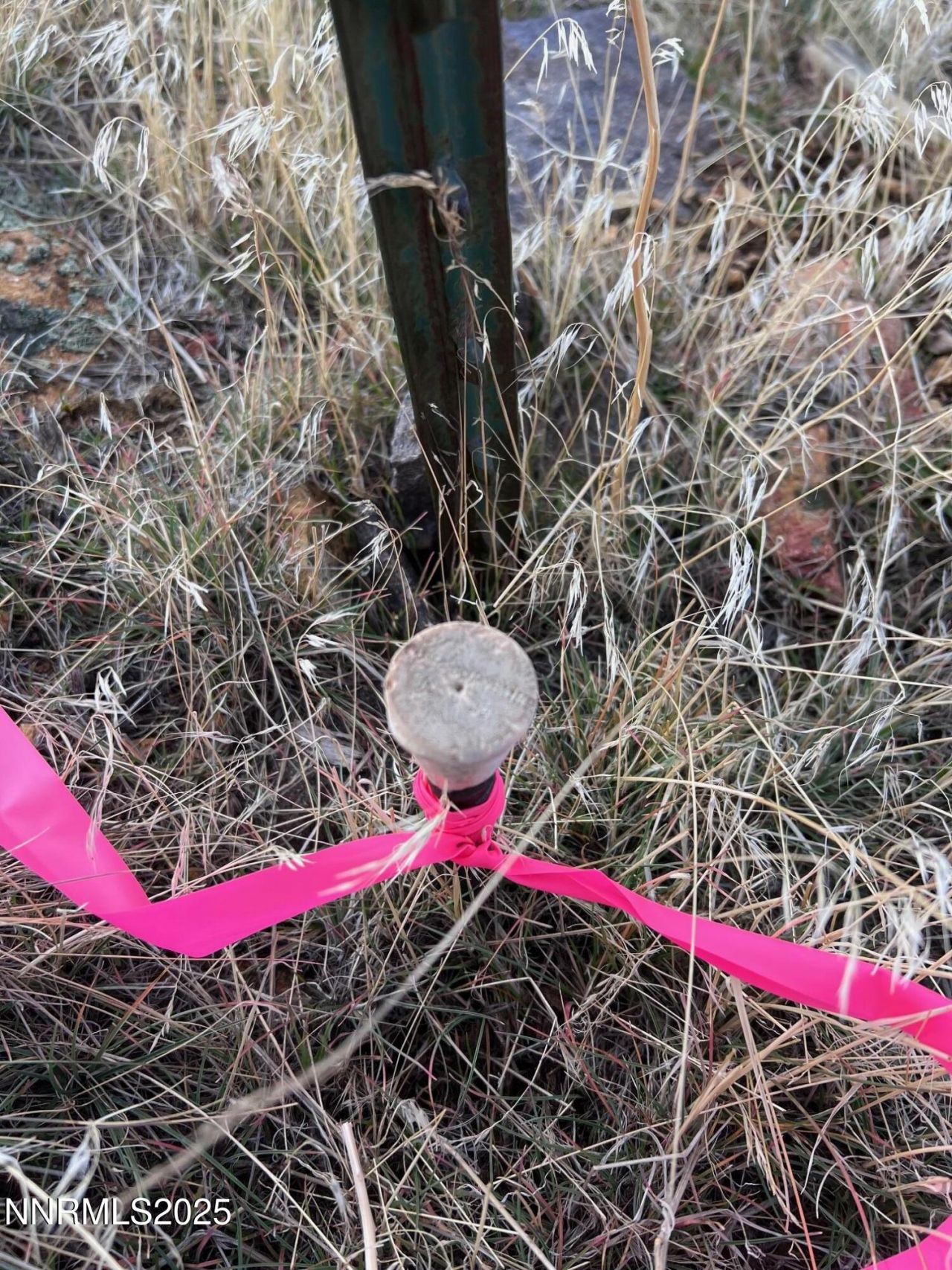 1505 Appian Way, Reno, NV 89510 Photo