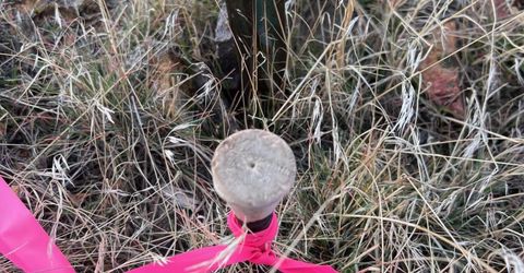 1505 Appian Way, Reno, NV 89510 Photo