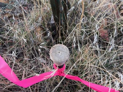 1505 Appian Way, Reno, NV 89510 Photo