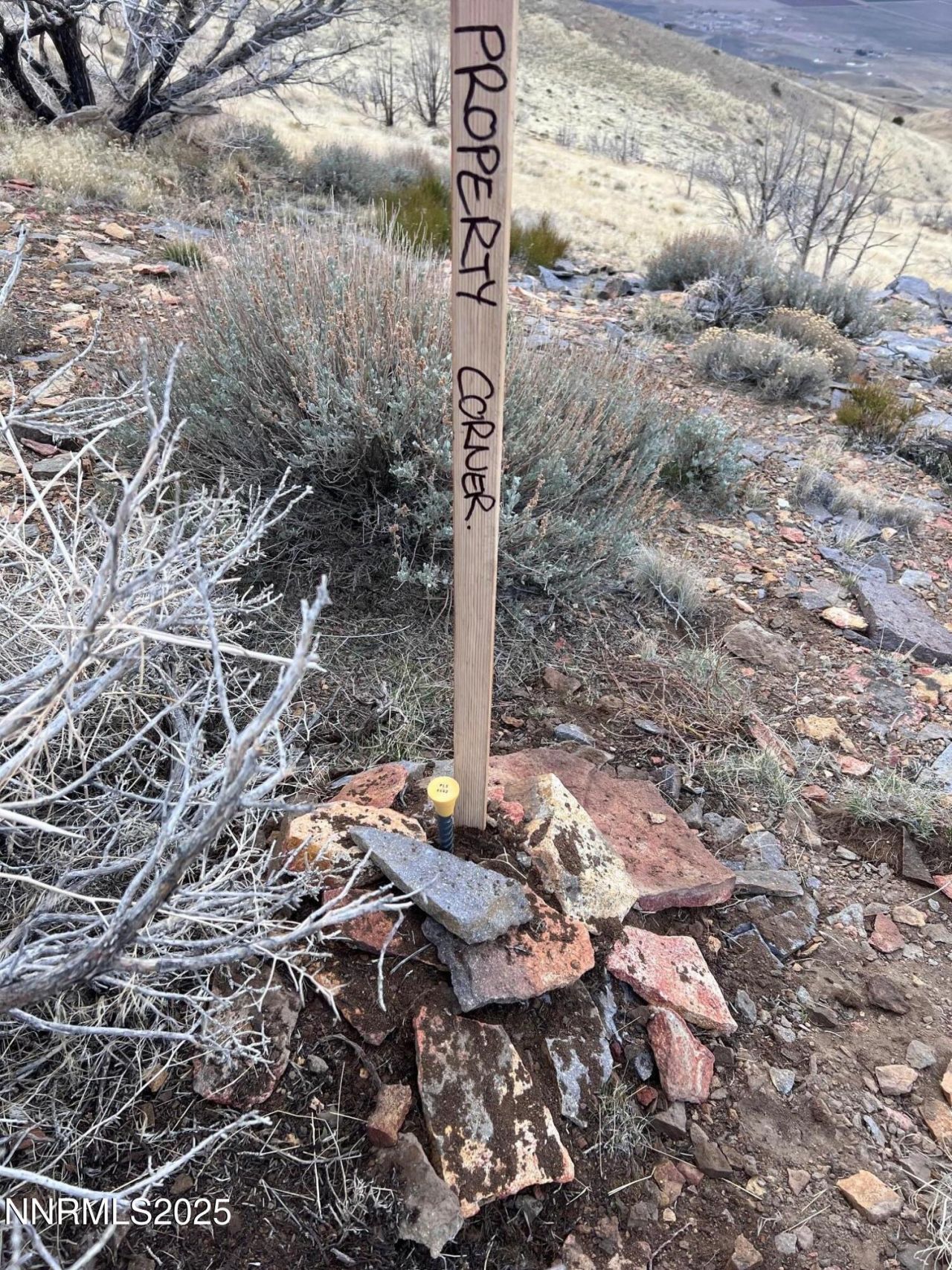 1505 Appian Way, Reno, NV 89510 Photo