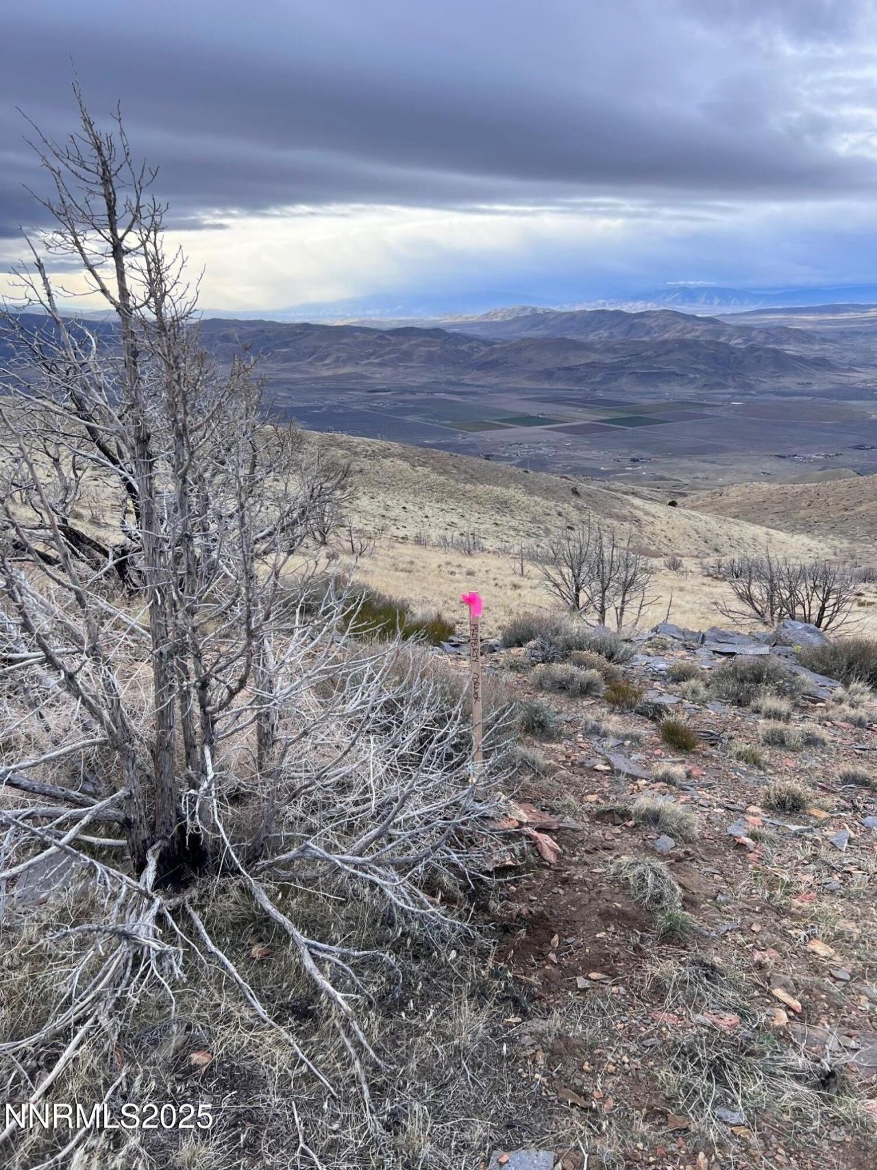 1505 Appian Way, Reno, NV 89510 Photo