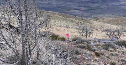 1505 Appian Way, Reno, NV 89510 Photo